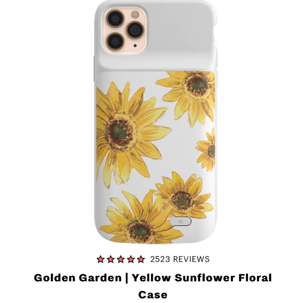 Casely iPhone charging cases (iPhone 11 Pro Max)